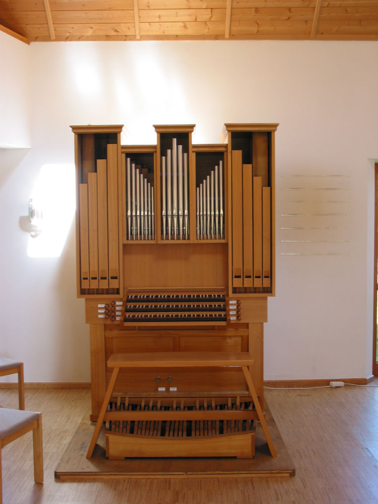 IMG 0062 w1000 h1000