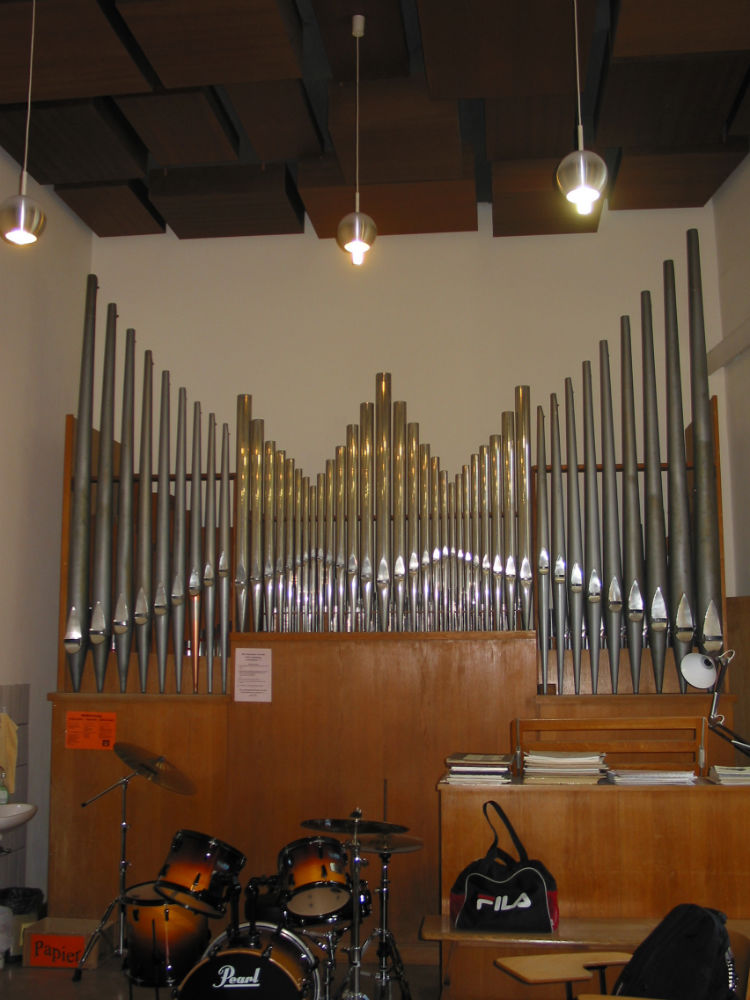 IMG 0207 w1000 h1000